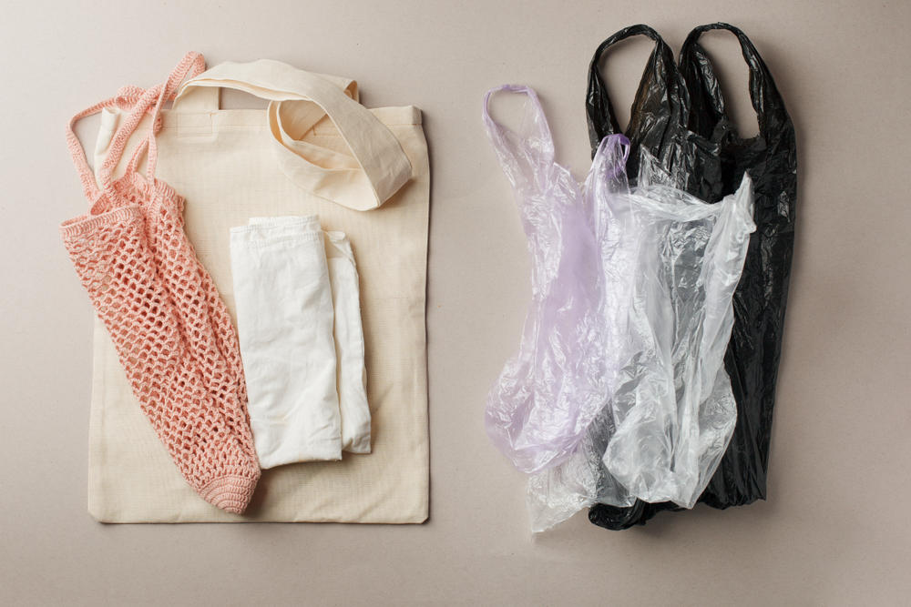 Cotton bag and a plastic bag.