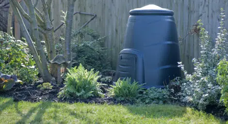 Compost bin.