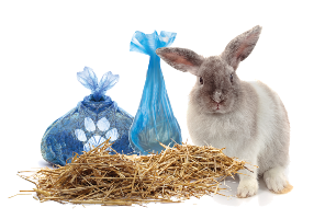 Pet waste 