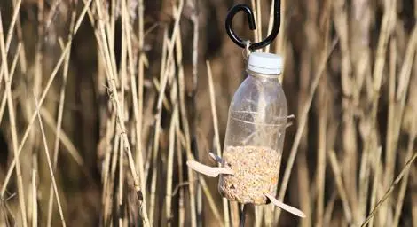 Bird feeder made from a plastic bottle.