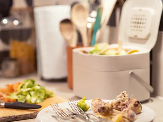 Leftover food waste on a plate.