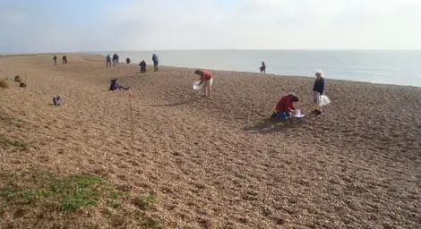 People litter picking on a beach.