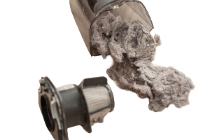 Vacuum dust